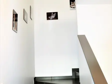 Maison familiale spacieuse, animaux acceptés à Oberentzen - Photo 18