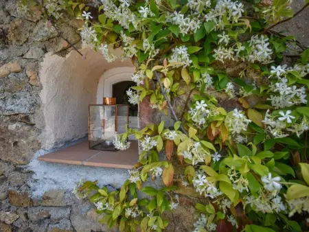 Les Roches du Sud, Charmante Gîte en domaine intimiste avec piscine - Photo 26
