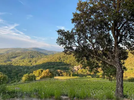 Les Roches du Sud, Charmante Gîte en domaine intimiste avec piscine - Photo 38
