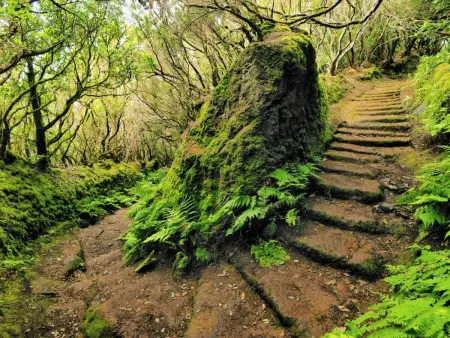 Bioklimatisches Haus auf Teneriffa - Natur - Entspannung - Photo 37