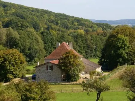 in Le Châtelet-Sur-Meuse mit Grill, Garten und Terrasse - Photo 11
