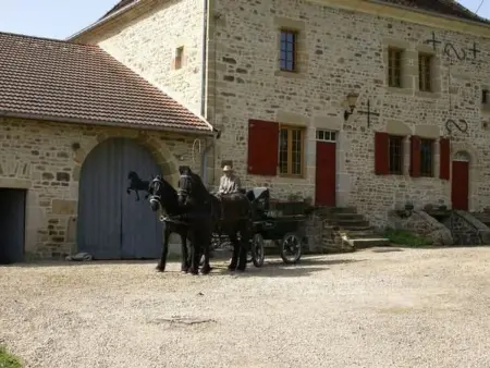 in Le Châtelet-Sur-Meuse mit Grill, Garten und Terrasse - Photo 13