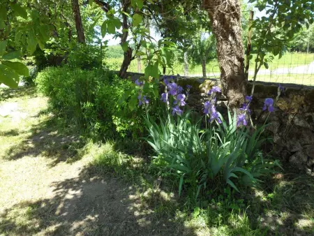 Aelise  mit eigenem Pool, Maison 5 personnes à Saint Hilaire - Photo 4