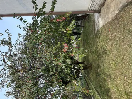 5-Zimmer-Haus, geeignet für große Gruppen, Maison 9 personnes à Monfalcone - Photo 21