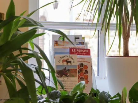 Maison de campagne - 12 pers., Gite 12 personnes à Courgeoût - Photo 12