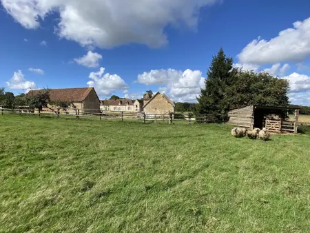Maison de campagne - 12 pers., Gite 12 personnes à Courgeoût - Photo 33