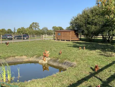 Maison de campagne - 12 pers., Gite 12 personnes à Courgeoût - Photo 35