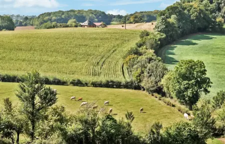Authentique ferme en campagne, Maison 5 personnes à Saint Germer de Fly - Photo 17