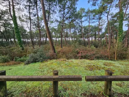 Villa neuve 6 pers., animaux sur demande, proche plage et forêt - Photo 26