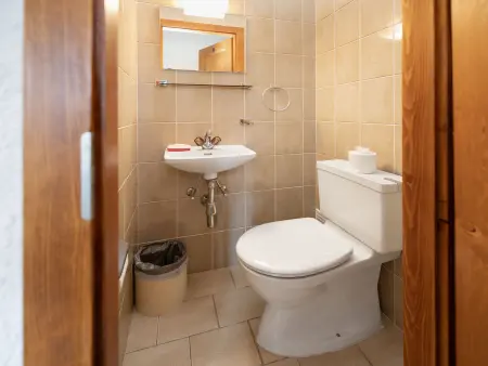 Regina D1, Appartement 8 personnes à Villars - Photo 21