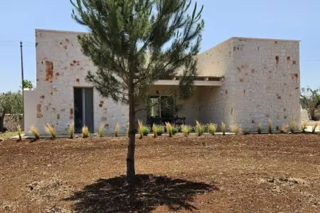 Villa Charme, Villa dans une oliveraie centenaire - Photo 1