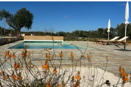 Villa Charme, Villa dans une oliveraie centenaire - Photo 37