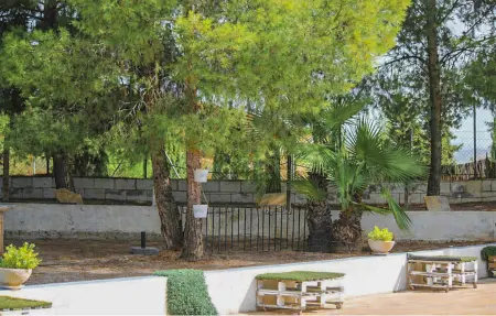 Maison 7 personnes à Abarán - Photo 9