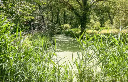 Maison de charme dans la natur, Maison 4 personnes à Mur de Sologne - Photo 8