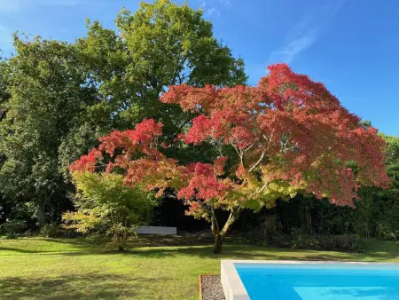 Villa à Hossegor avec jardin et piscine chauffée pour 10 personnes - Photo 26
