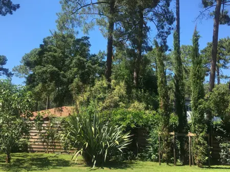 Villa à Hossegor avec jardin et piscine chauffée pour 10 personnes - Photo 29