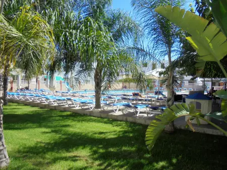 Appartement confortable à 200m de la plage, Appartement 6 personnes à Peniscola - Photo 4