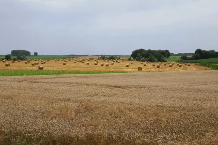 Maison spacieuse avec jardin à Labergement-lès-Seurre - Photo 45