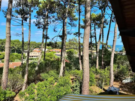 Villa Lège-Cap-Ferret, 4 chambres, 8 pers., jardin clos, animaux admis - Photo 1