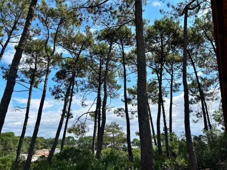 Villa Lège-Cap-Ferret, 4 chambres, 8 pers., jardin clos, animaux admis - Photo 3