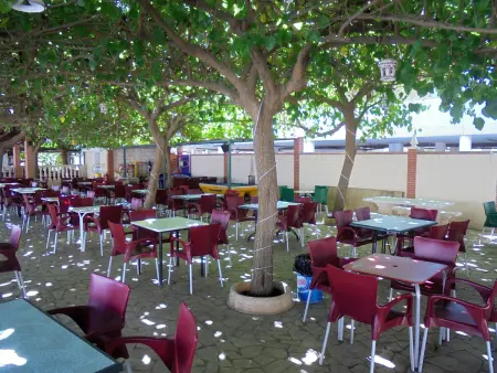 Appartement confortable à Peñiscola près de la plage pour 6 personnes - Photo 10