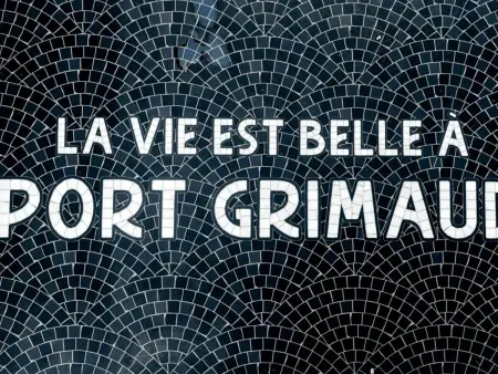 Maison moderne 4 ch climatisée avec Wi-Fi à Port Grimaud - Photo 21