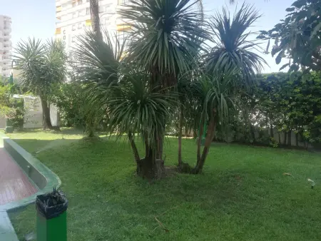 Appartement familial à 200m de la plage de Gandia, 3 chambres, accepte les animaux - Photo 26