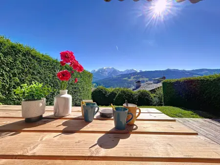 Appartement 2 pièces avec coin montagne, parking, vue Mont Blanc - Photo 1