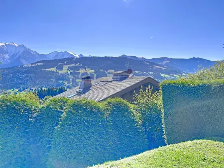 Appartement 2 pièces avec coin montagne, parking, vue Mont Blanc - Photo 8