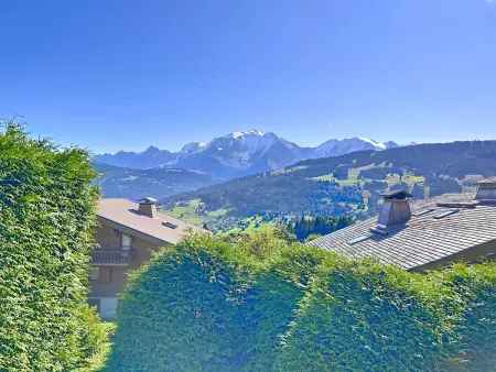 Appartement 2 pièces avec coin montagne, parking, vue Mont Blanc - Photo 10