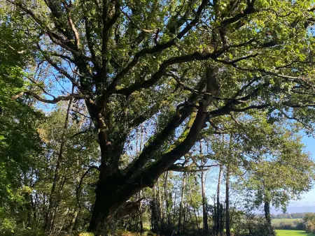 Grande Maison avec Piscine Chauffée à Bois Bertrand - Photo 33
