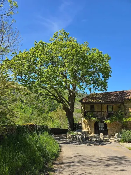 Maison chaleureuse à Luena, 75 m² avec vue montagne - Photo 33