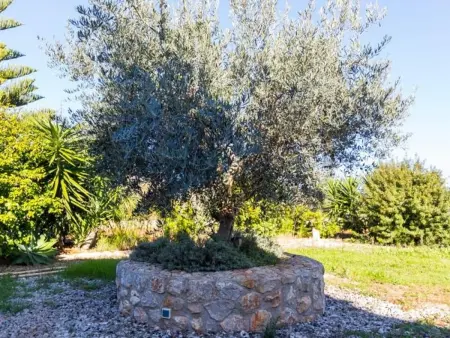Superbe villa rustique à Campanet avec piscine, Villa 4 personnes à Campanet - Photo 9