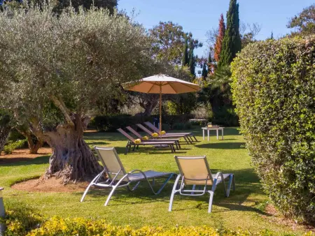 Superbe villa majorquine avec piscine privée au cœur de Majorque - Photo 10