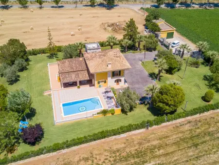 Villa moderne avec piscine privée à Sa Pobla, Majorque - Photo 2