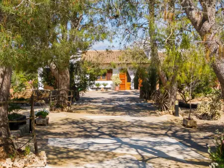 Magnifique villa nature avec piscine à Llubí, Villa 4 personnes à Llubí - Photo 11