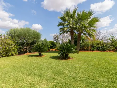 Villa rustique avec piscine et jardin à Binissalem - Photo 23