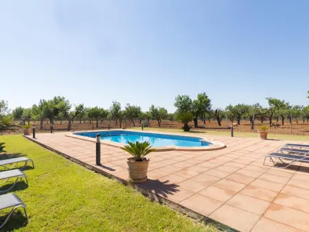 Charmante finca majorquine avec piscine et climatisation - Photo 7