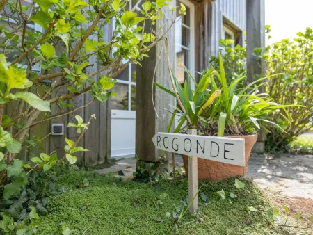Gite Rogonde, Appartement 2 personnes à Cancale - Photo 8