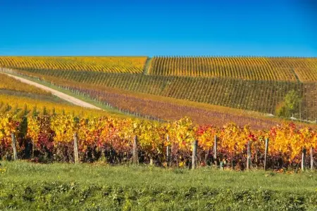 Gîte Les Charmes, Escapade familiale près des vignobles français - Photo 11