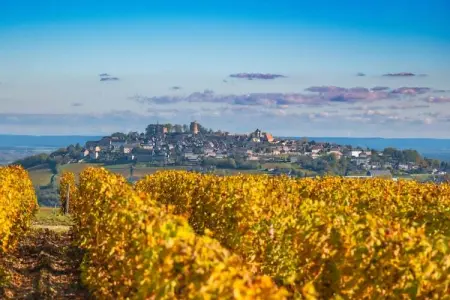 Gîte Les Charmes, Escapade familiale près des vignobles français - Photo 12