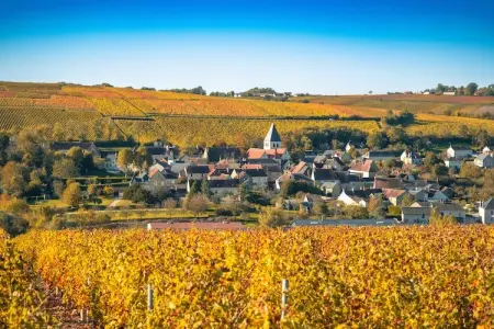 Gîte Les Charmes, Escapade familiale près des vignobles français - Photo 13