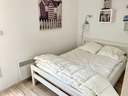 Maison T3 Plain-Pied: Jardin, Terrasse - Animaux Admis - Photo 6