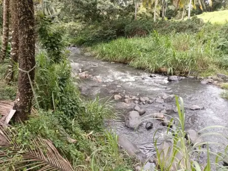 Appartement charmant avec vue sur la rivière à St. Joseph - Photo 3