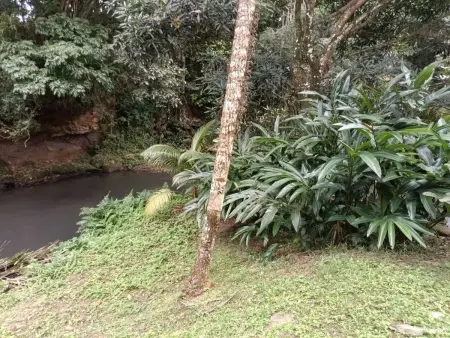 Appartement charmant avec vue sur la rivière à St. Joseph - Photo 4