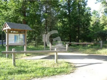 Maison pour 6, proche plage, forêt et commerces à Longeville-sur-Mer - Photo 11