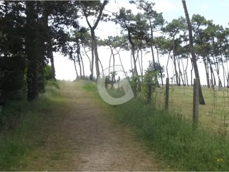 La Tranche sur Mer : Pavillon T2, piscine, proche plage - Photo 18