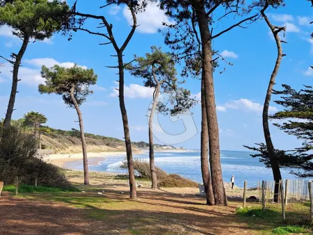 Pavillon 4 pers au cœur d'un parc à Jard-sur-Mer - Photo 8