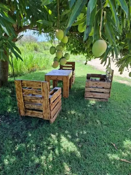 Maison cosy près de Petit-Canal sur 30 m² avec jardin - Photo 17