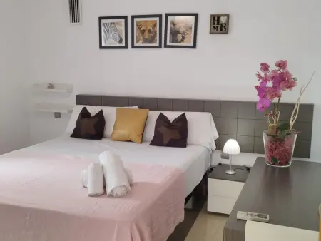Maison spacieuse à Gandia, animaux acceptés, proche plage - Photo 30